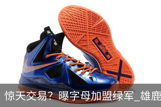 惊天交易？曝字母加盟绿军 雄鹿为布朗寻找第三方